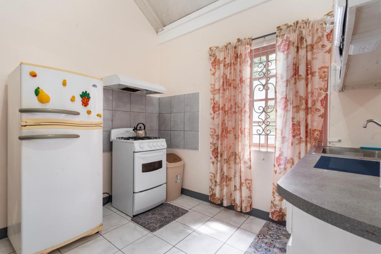 Shaw Park Gem Apt 12D Очо Риос Екстериор снимка